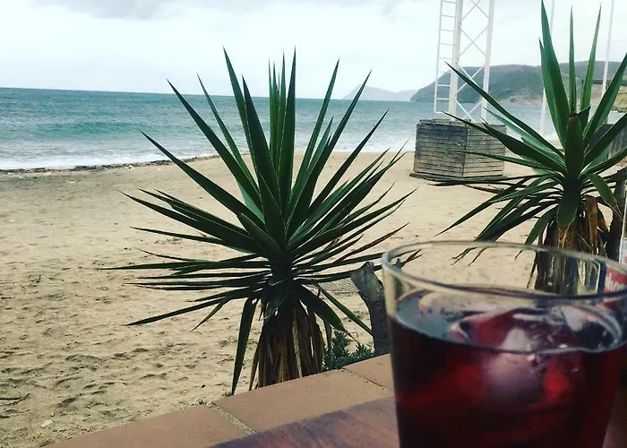 Playa 2